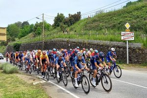 Подробнее о статье Что такое пелотон в велоспорте и как он работает